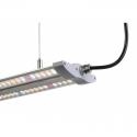 Barre LED 4000K Full Spectrum / 600x130x38 mm - OPTILED